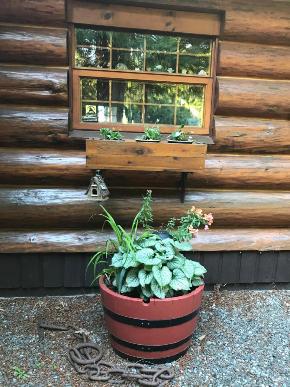 Union Bay Log Home Exteriér fotografie